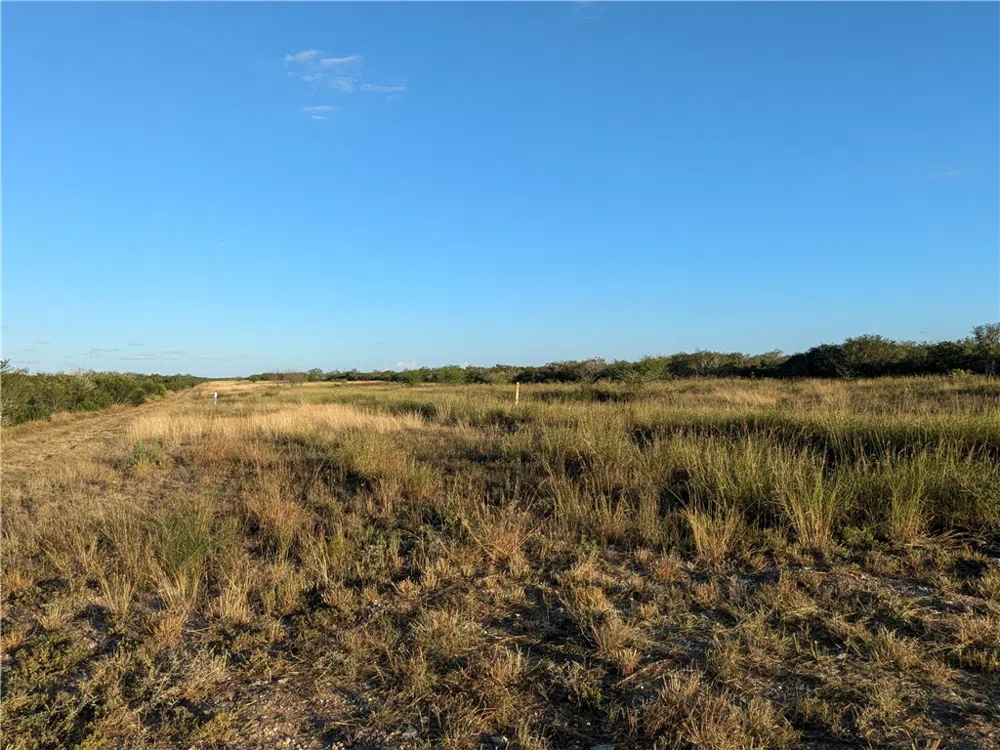 0 San Diego, TX 78384
