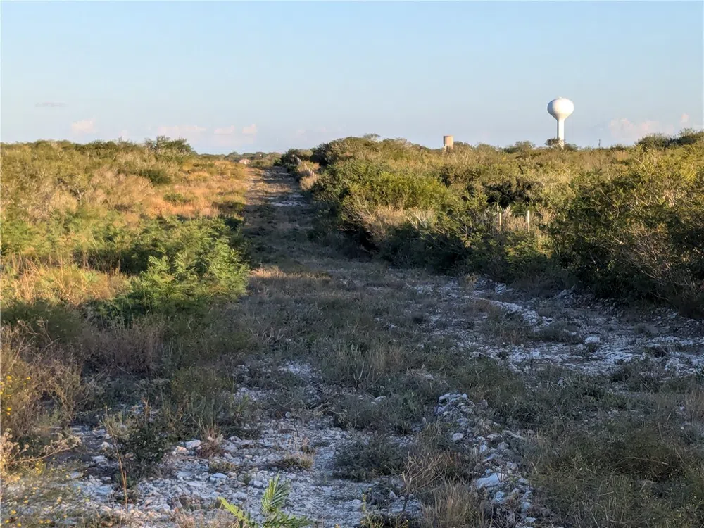 0 San Diego, TX 78384
