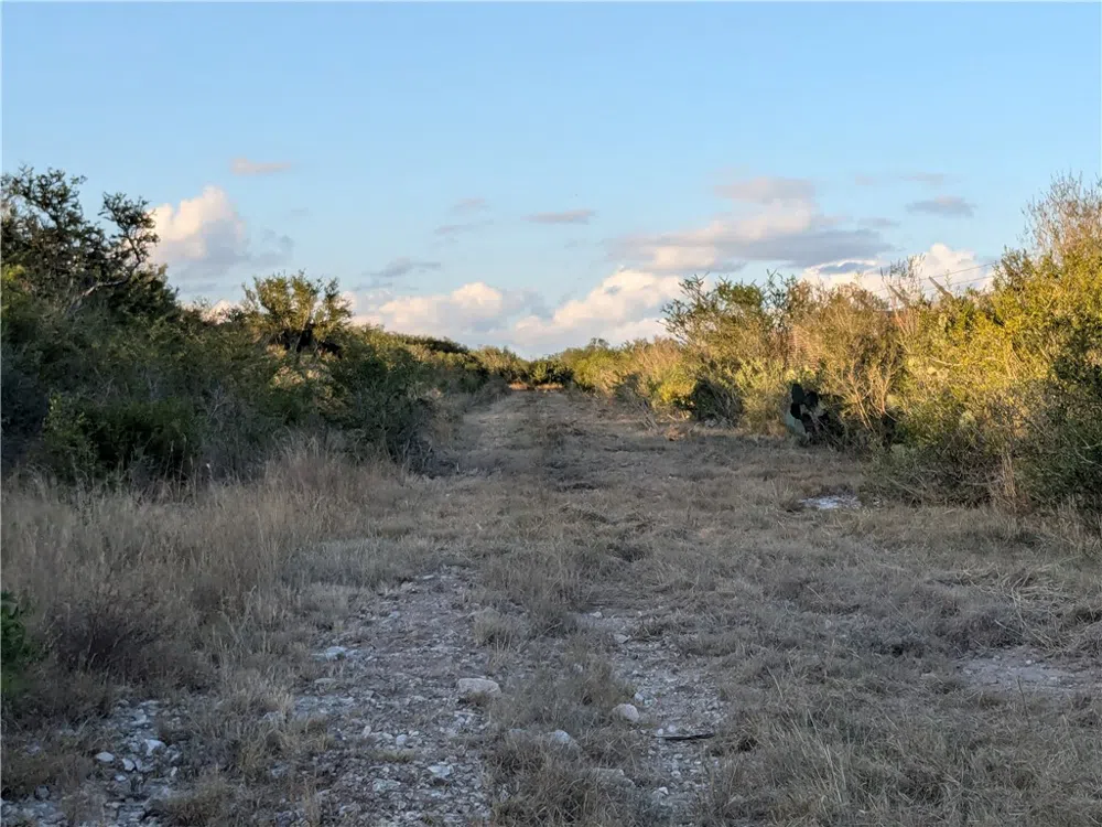 0 San Diego, TX 78384