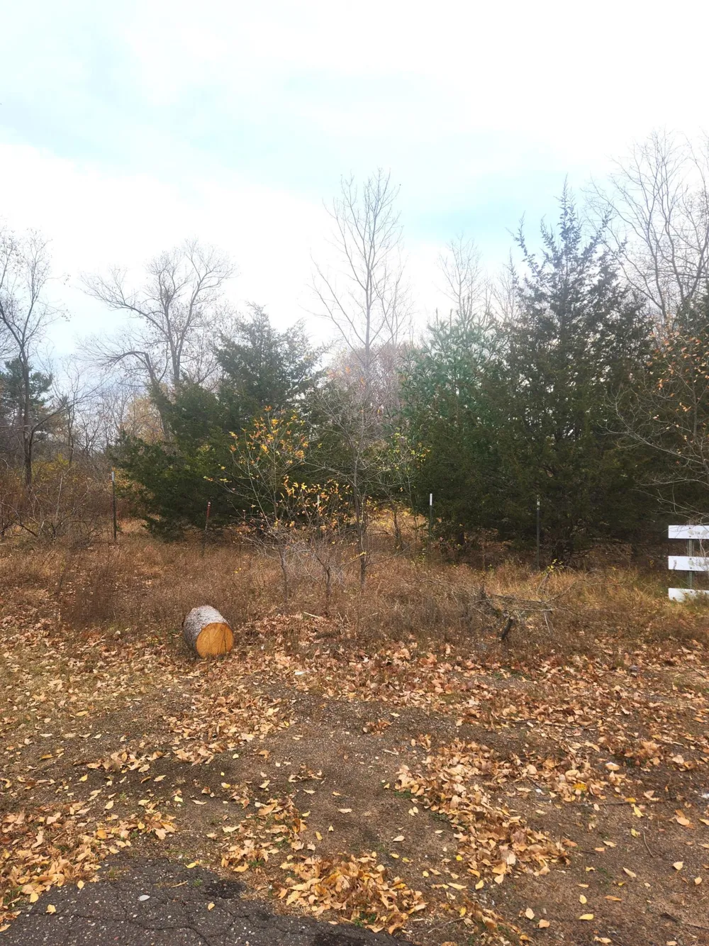 xxx W Leonard Street Chetek, WI 54728