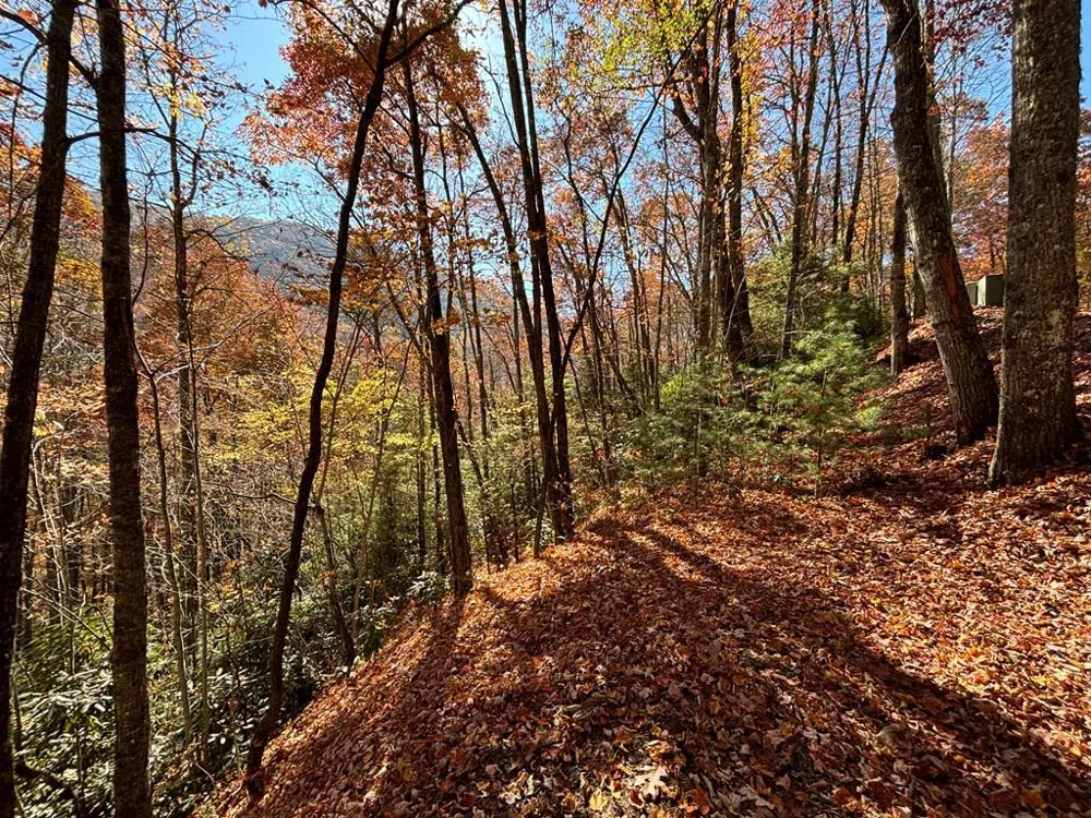 Coppermine Ridge Whittier, NC 28789