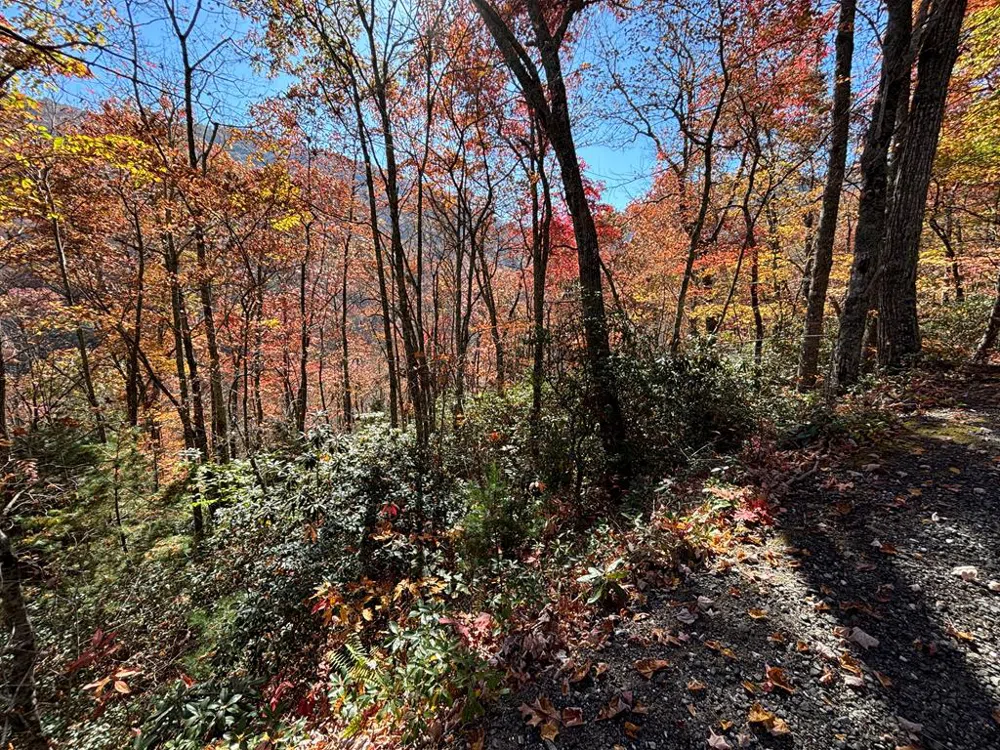 Coppermine Ridge Whittier, NC 28789