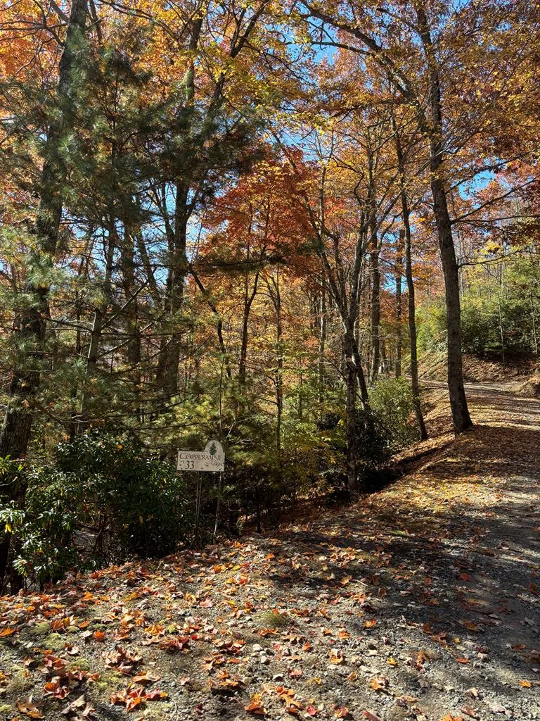 Coppermine Ridge Whittier, NC 28789