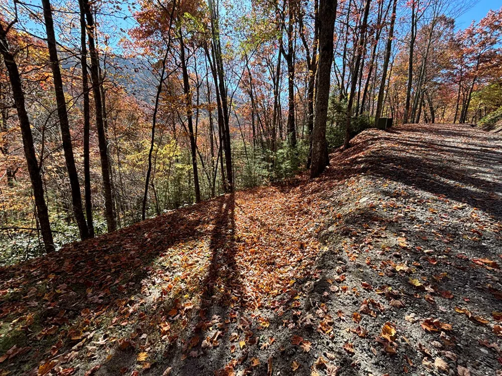 Coppermine Ridge Whittier, NC 28789