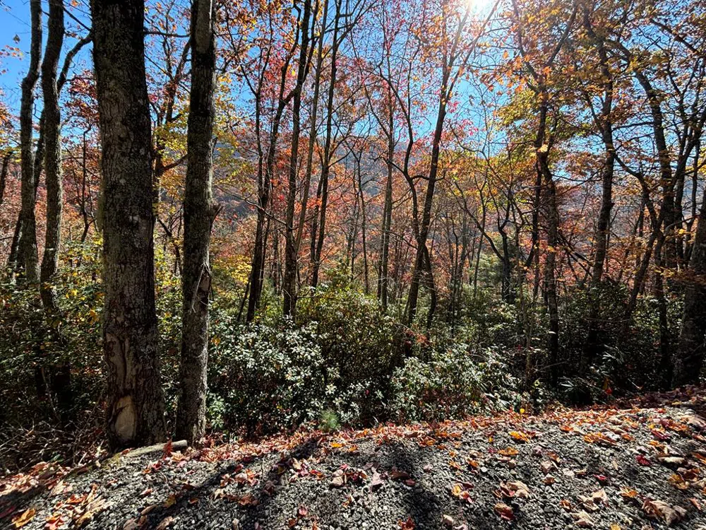 Coppermine Ridge Whittier, NC 28789
