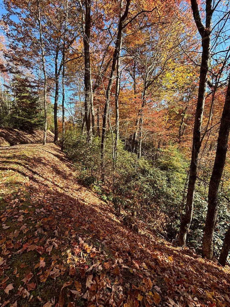 Coppermine Ridge Whittier, NC 28789