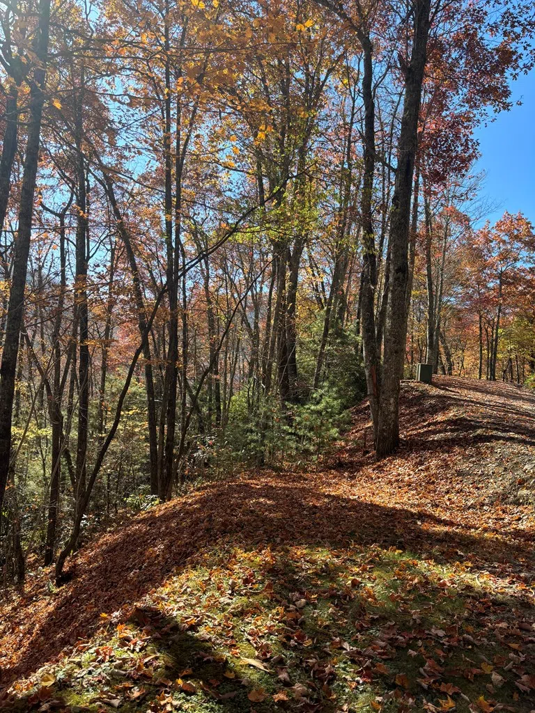 Coppermine Ridge Whittier, NC 28789