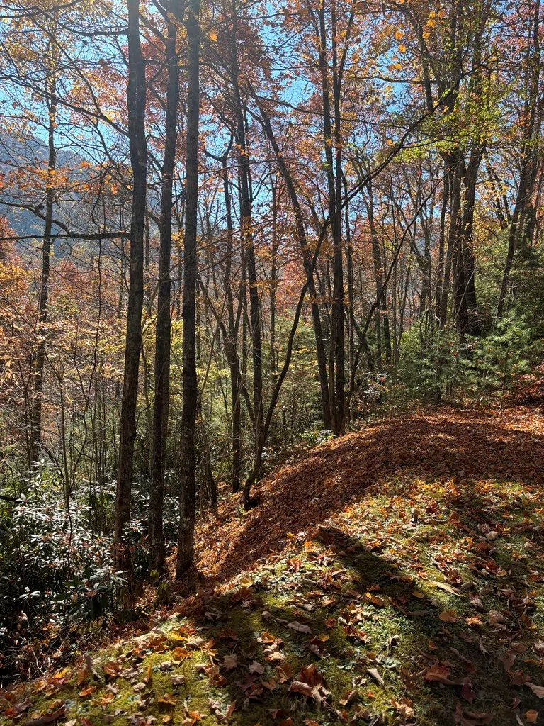 Coppermine Ridge Whittier, NC 28789
