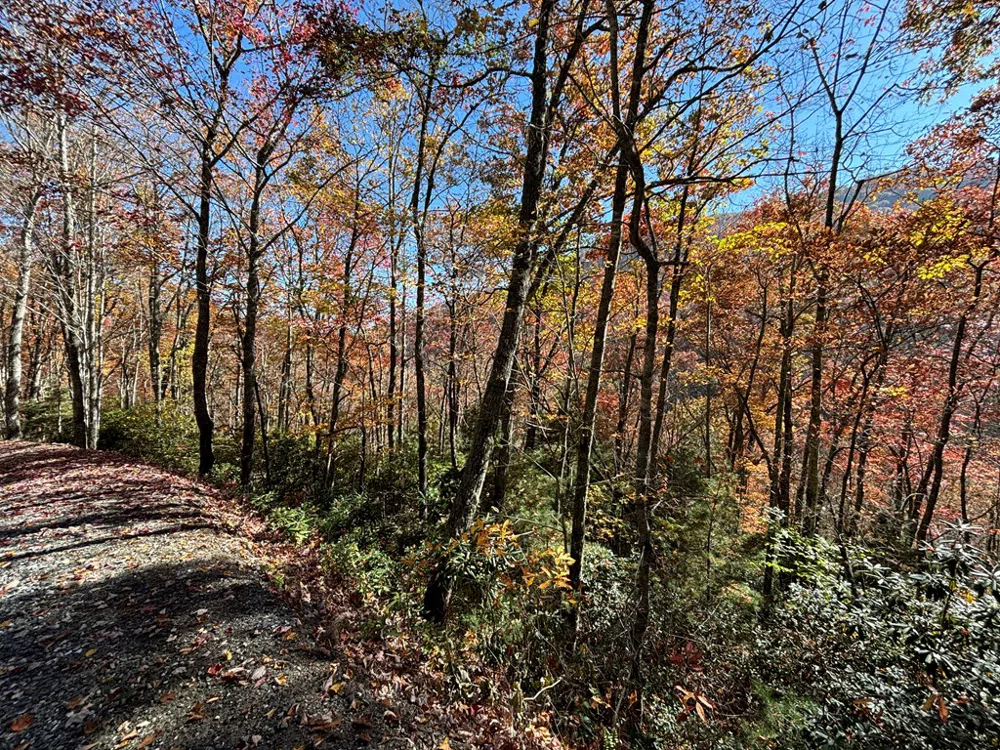 Coppermine Ridge Whittier, NC 28789