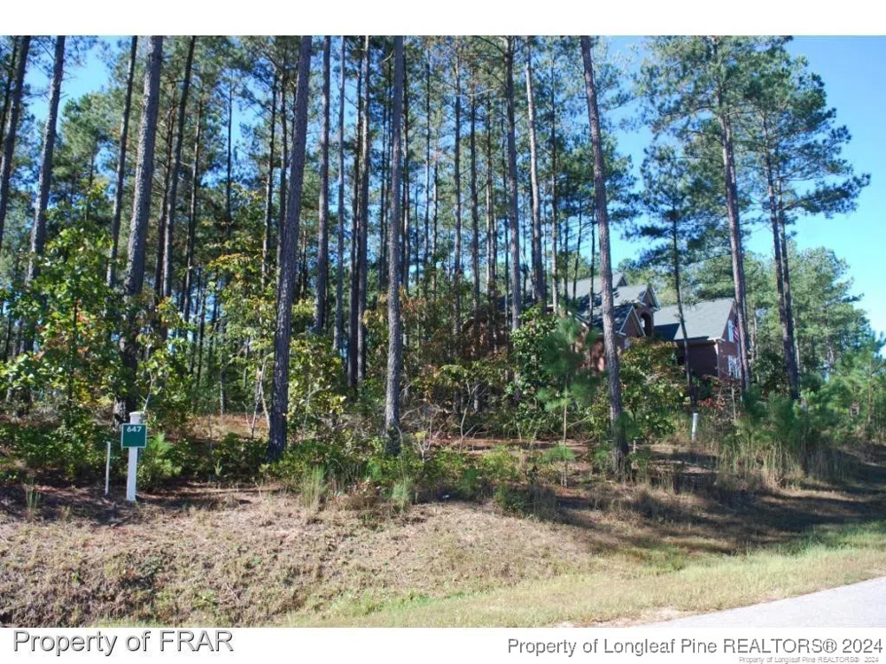125 Broadlake (647) Lane Spring Lake, NC 28390