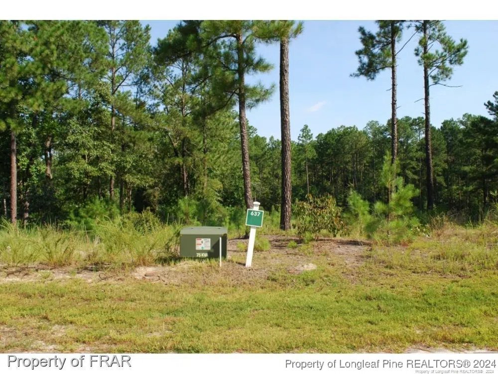 182 Broadlake (637) Lane Spring Lake, NC 28390