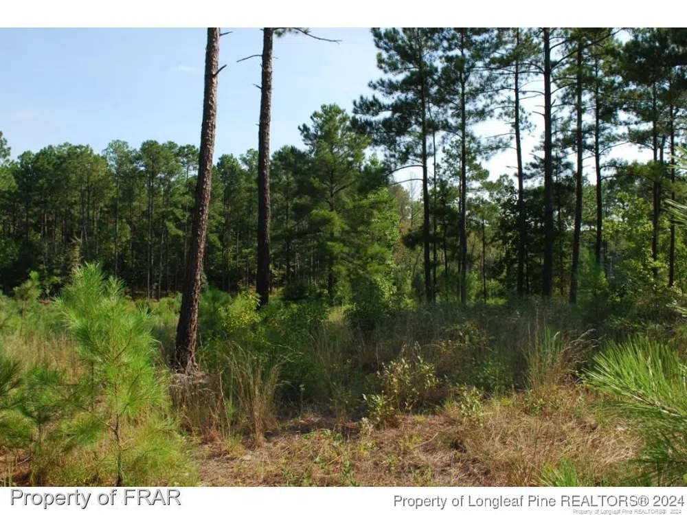 182 Broadlake (637) Lane Spring Lake, NC 28390