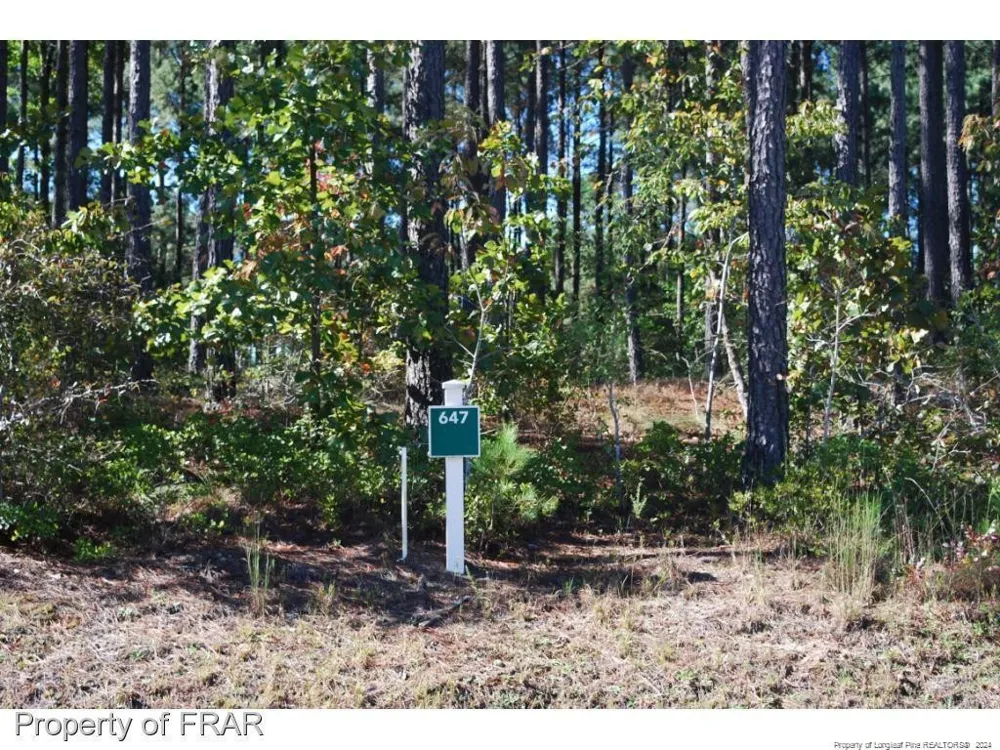 125 Broadlake (647) Lane Spring Lake, NC 28390