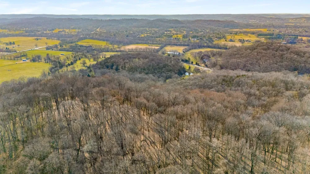 0 Vaughn Rd Franklin, TN 37069