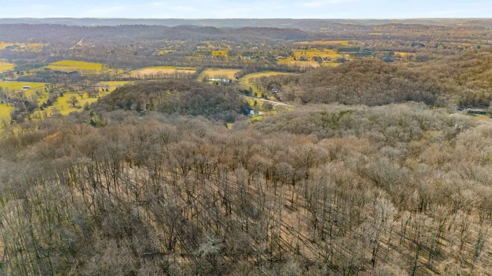 0 Vaughn Rd Franklin, TN 37069
