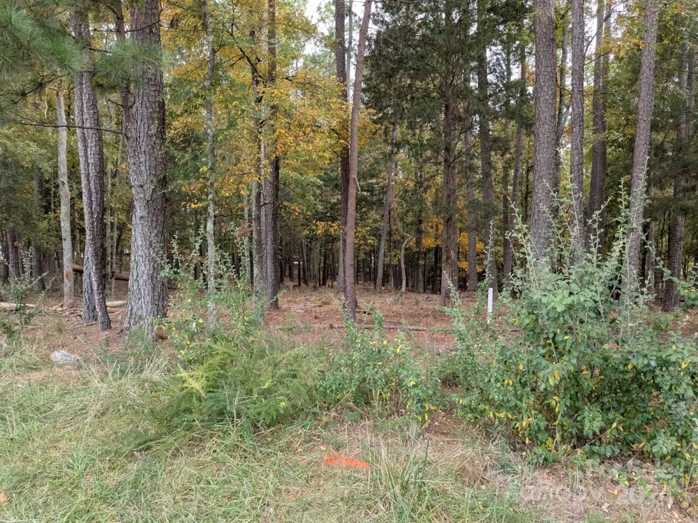 3.447 acres Spratt Road York, SC 29745