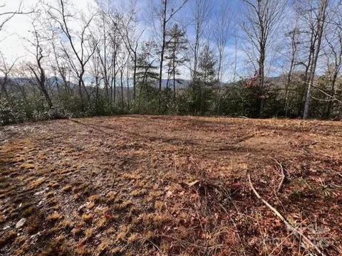 LOT 2 Tobacco Branch Road