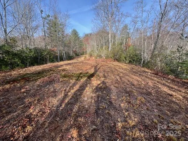 LOT 2 Tobacco Branch Road Almond, NC 28702