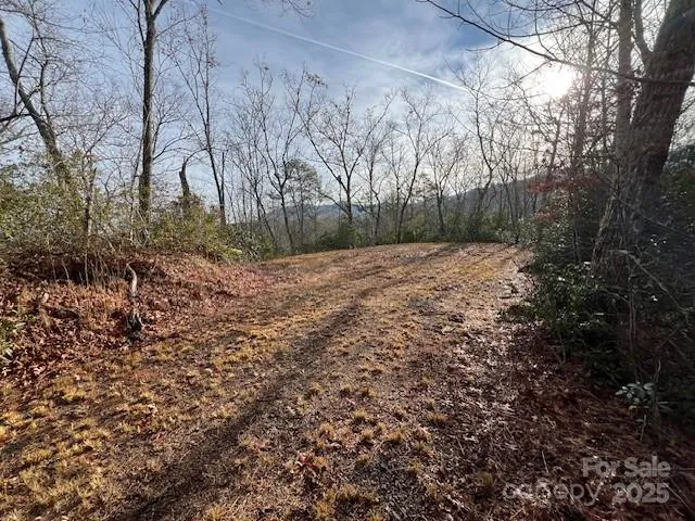 LOT 2 Tobacco Branch Road Almond, NC 28702