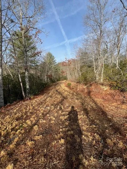 LOT 2 Tobacco Branch Road Almond, NC 28702