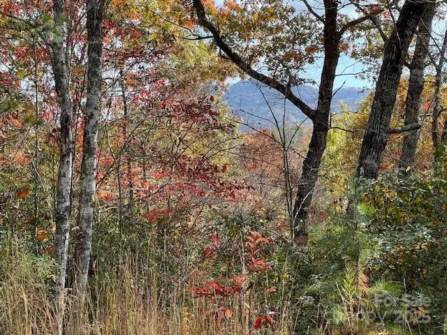 LOT 2 Tobacco Branch Road Almond, NC 28702
