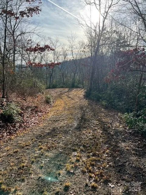 LOT 2 Tobacco Branch Road Almond, NC 28702