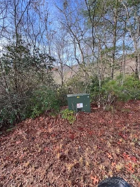 LOT 2 Tobacco Branch Road Almond, NC 28702