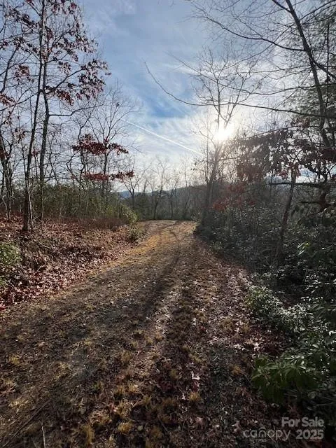 LOT 2 Tobacco Branch Road Almond, NC 28702
