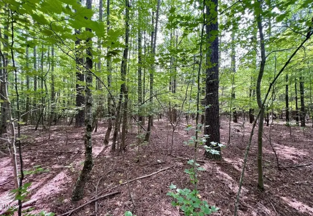 38 Gordon Lane Macon, NC 27551