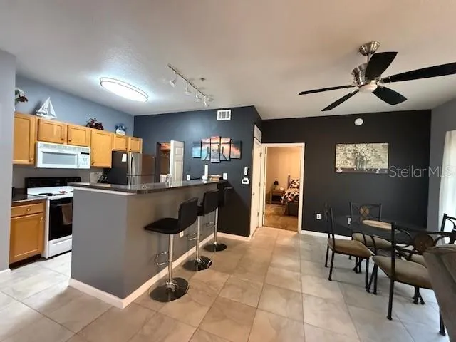 10764 70TH AVENUE #1102 Seminole, FL 33772