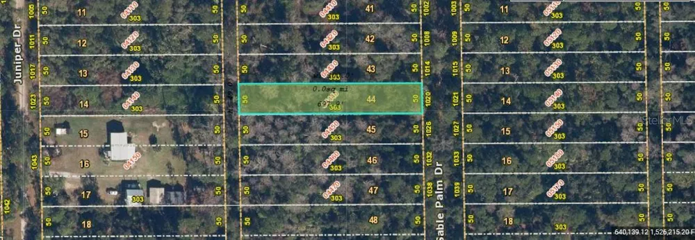 1020 SABLE PALM DRIVE Christmas, FL 32709