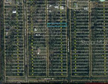 1020 SABLE PALM DRIVE Christmas, FL 32709