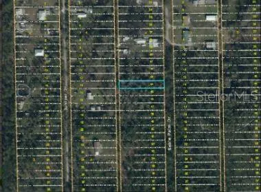 1020 SABLE PALM DRIVE Christmas, FL 32709