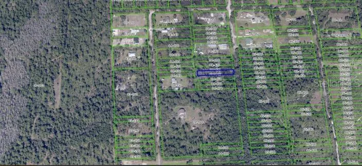 1020 SABLE PALM DRIVE Christmas, FL 32709