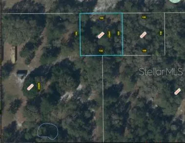 1349 FORT CHRISTMAS ROAD Christmas, FL 32709