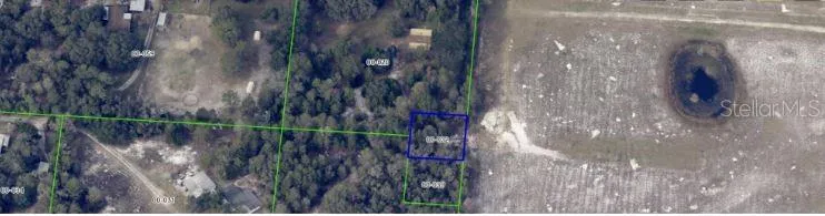 1349 FORT CHRISTMAS ROAD Christmas, FL 32709