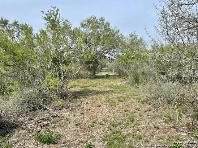 173 county road 1670 Moore, TX 78057
