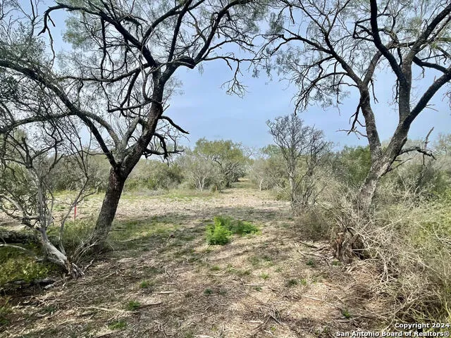 173 county road 1670 Moore, TX 78057