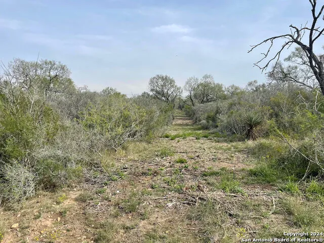 173 county road 1670 Moore, TX 78057