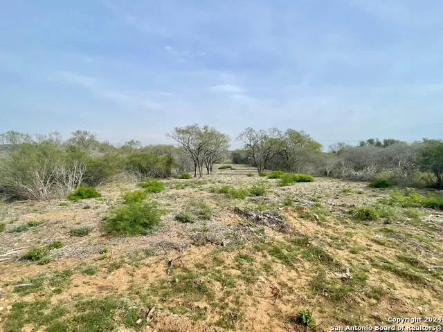 173 county road 1670 Moore, TX 78057