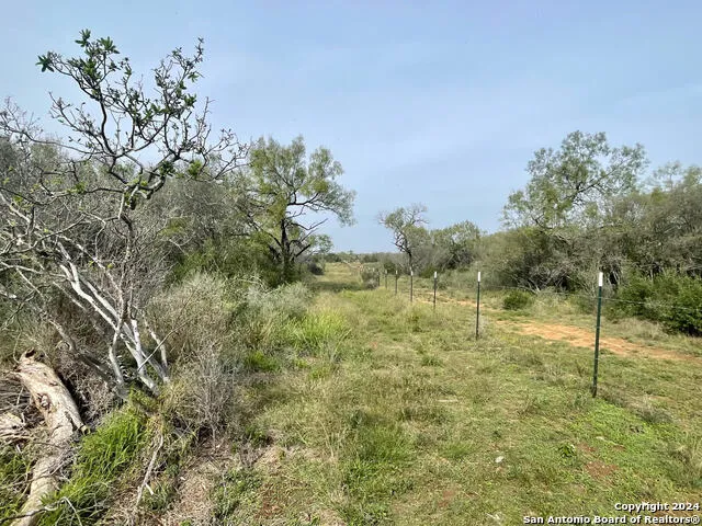 173 county road 1670 Moore, TX 78057