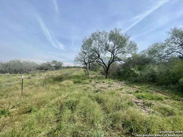 173 county road 1670 Moore, TX 78057