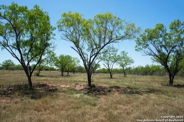 TRACT 6 FM 1332 Jourdanton, TX 78026