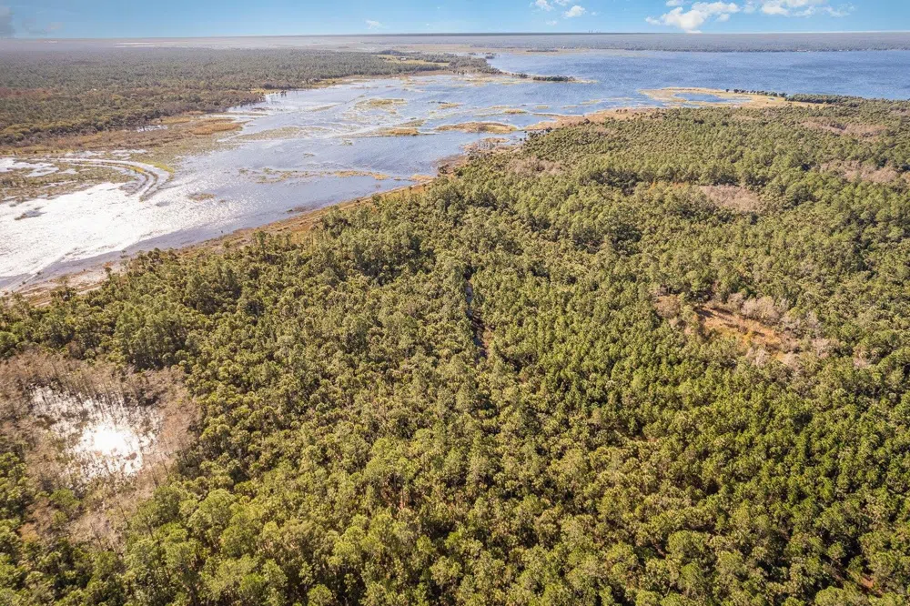 LAKE HARNEY WOODS BOULEVARD Osteen, FL 32764