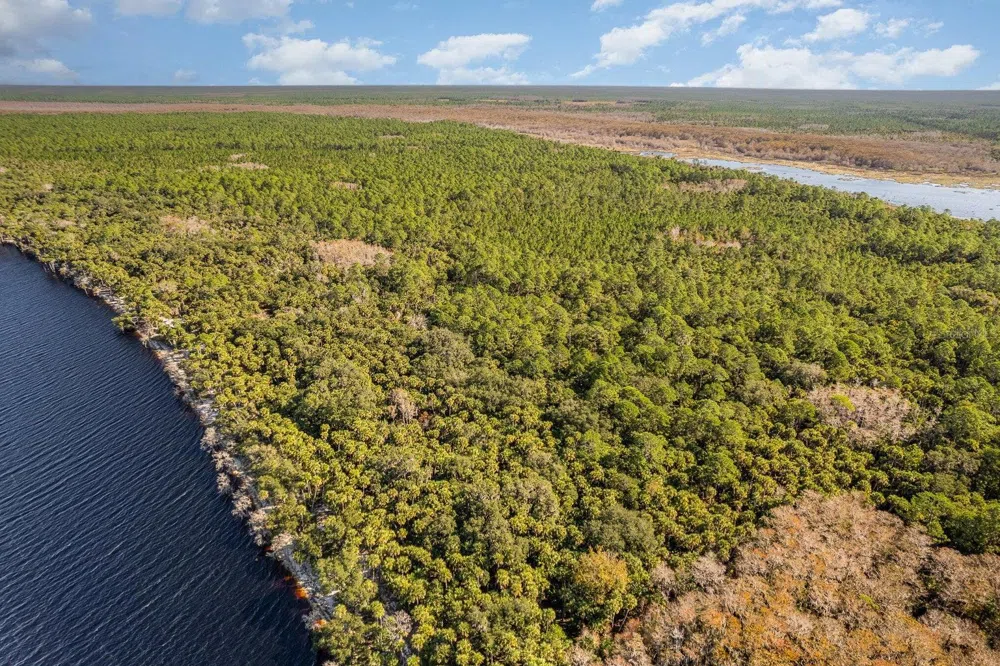 LAKE HARNEY WOODS BOULEVARD Osteen, FL 32764