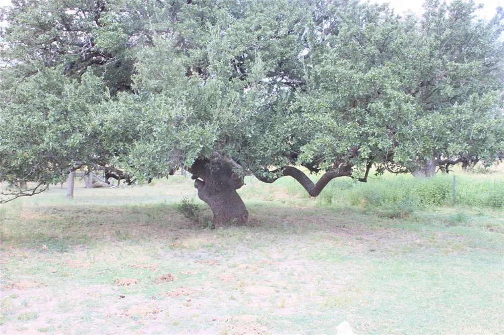 191 County Road 358 Richland Springs, TX 76871