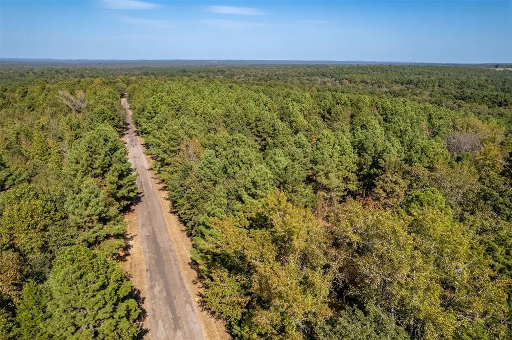 CR 359 Winona, TX 75792