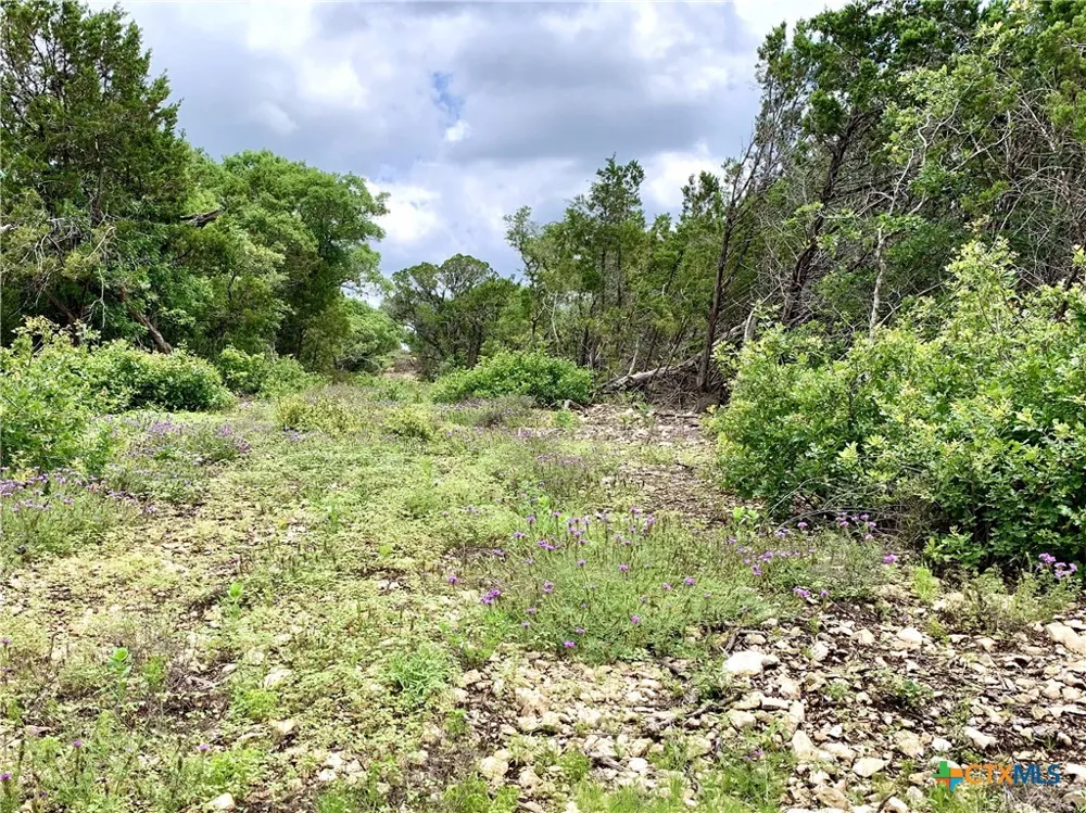 7 Sawtooth Drive Bertram, TX 78605