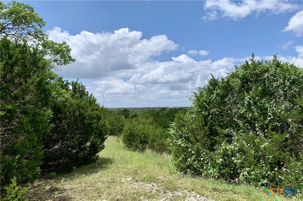 7 Sawtooth Drive Bertram, TX 78605