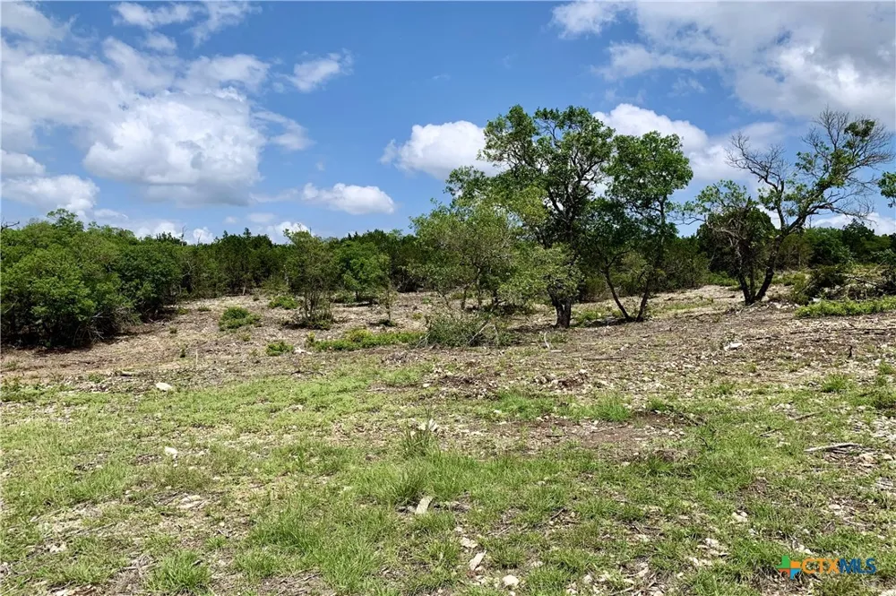 7 Sawtooth Drive Bertram, TX 78605